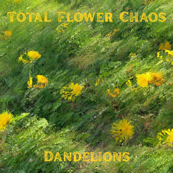 Go to dandelions page